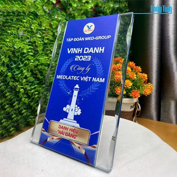 Biểu trưng vinh danh cho doanh nghiệp: nâng tầm thương hiệu - khẳng định vị thế