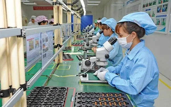 Còn bao nhiêu ngày nữa đến Tết 2024 âm và dương lịch tính từ hôm nay