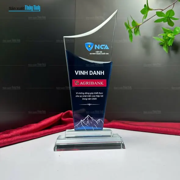 Kỷ niệm chương thủy tinh