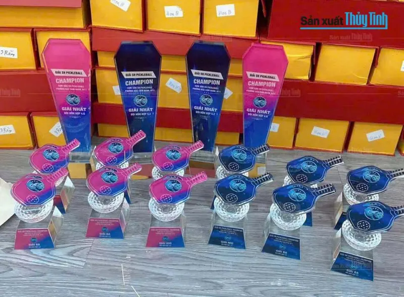 Kỷ niệm chương thủy tinh