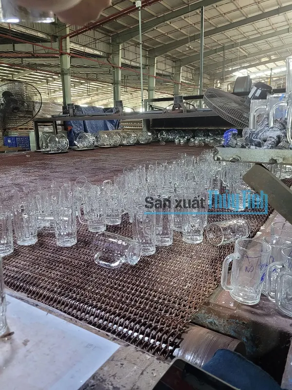 Bình ly thủy tinh giá sỉ