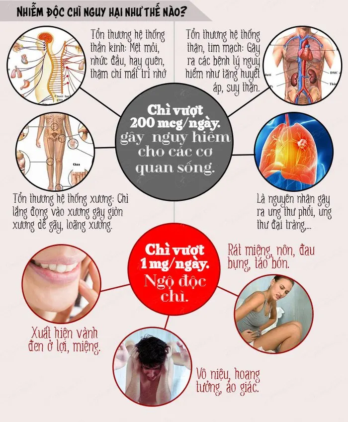 Nguồn hàng sỉ ly thủy tinh giá rẻ tại tphcm | xưởng sản xuất thủy tinh An Gia